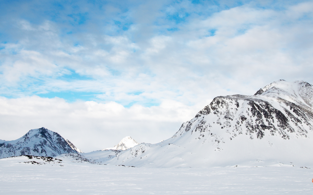 Why Greenland Got 50 Million Searches